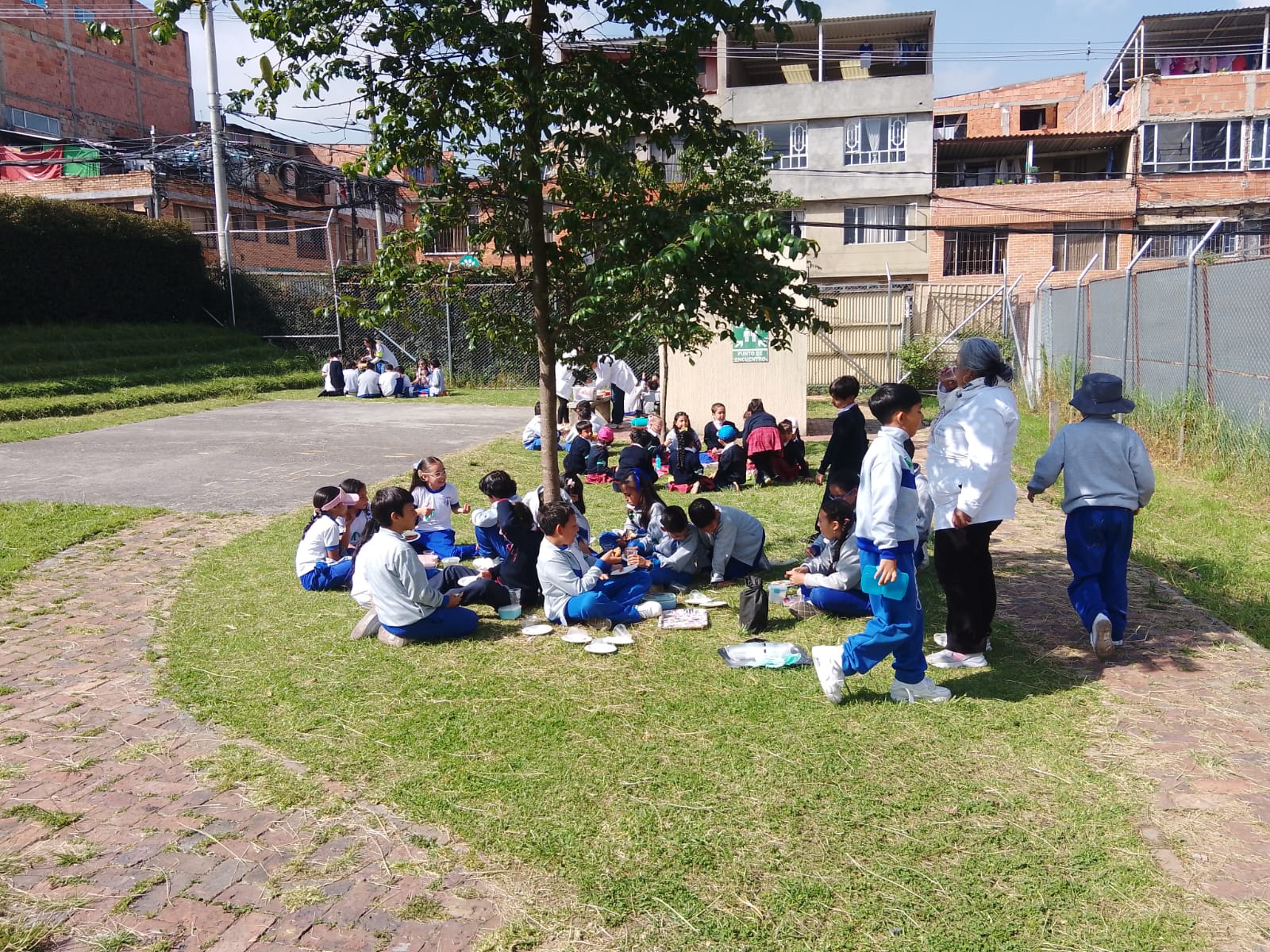 medio ambiente