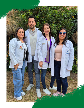 Proyecto Humanidades